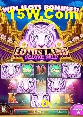 Casino Ao Vivo 66Dv